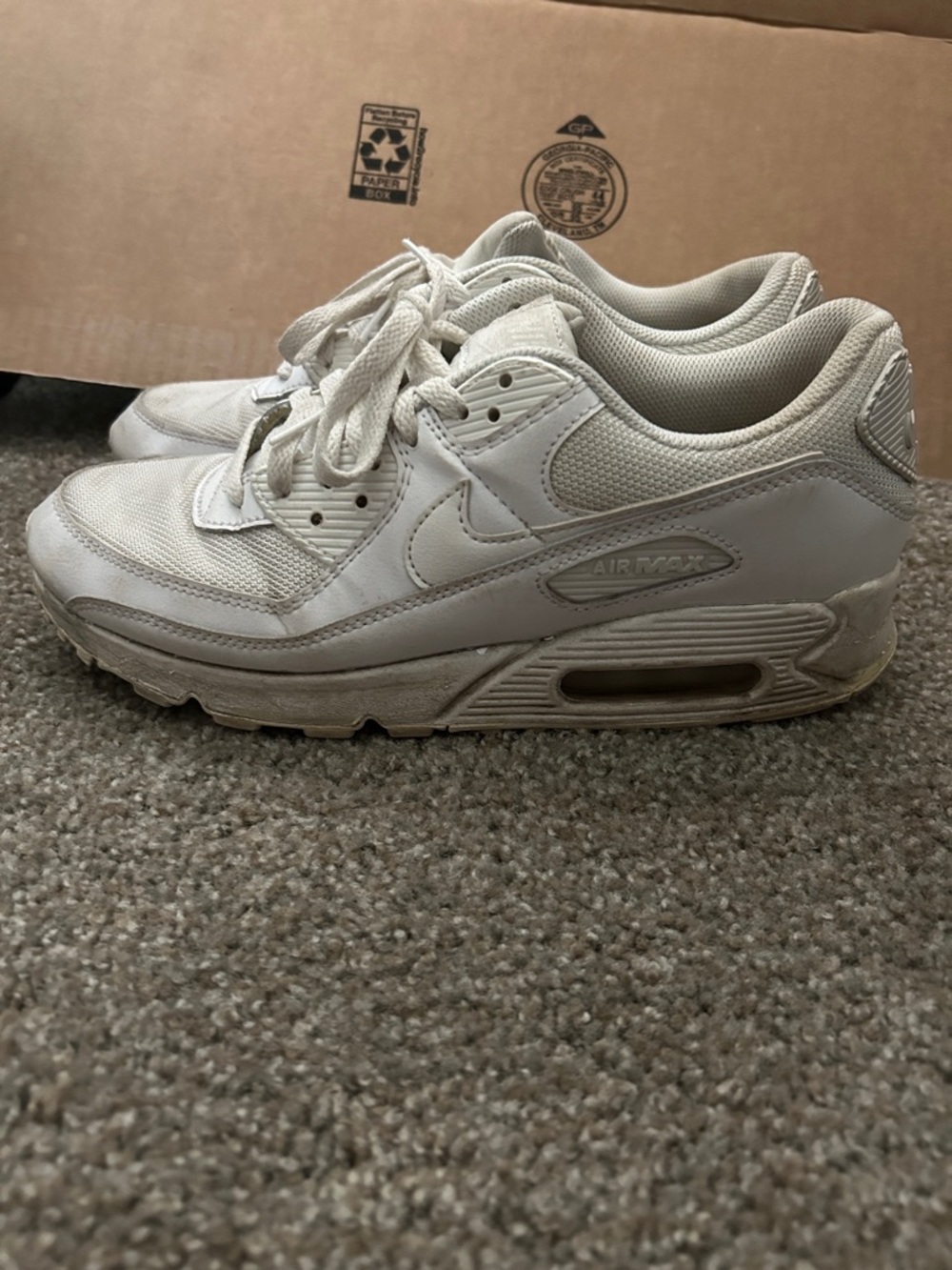 Nike Air Max Sneakers